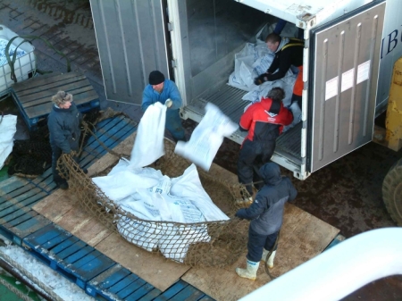 Reloading from the holding containers, into the cargo nets to be lifted back aboard.